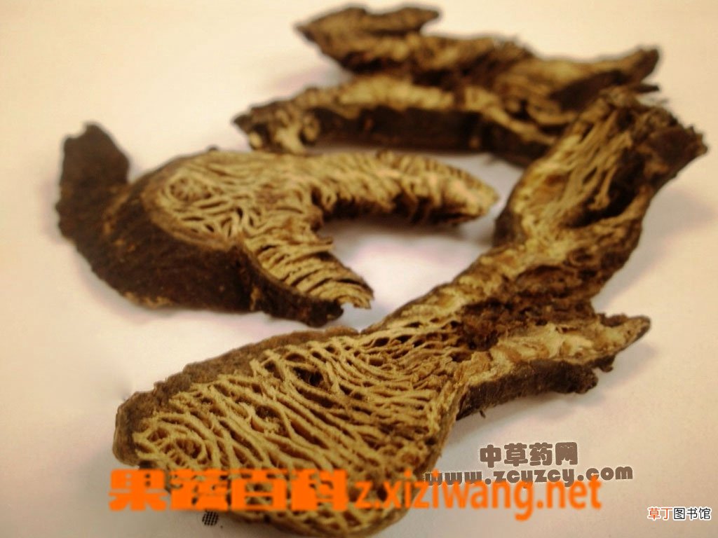 升麻的功效与作用