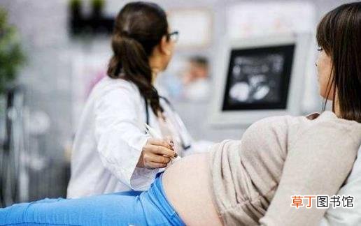 孕早期需要补充的营养 孕妇补充营养不是越多越好