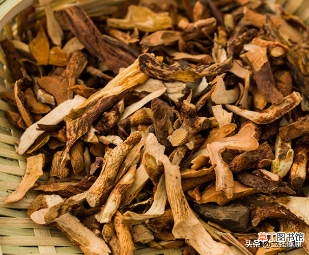 骨碎补的功效与作用 根茎类药材骨碎补，主治跌扑损伤
