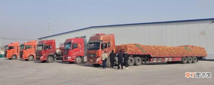 出口报关一般得几天 报关要多久