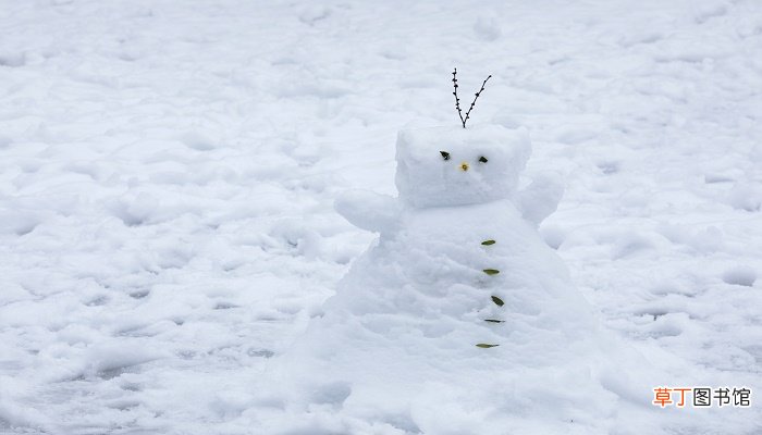 梦见雪球往下滚