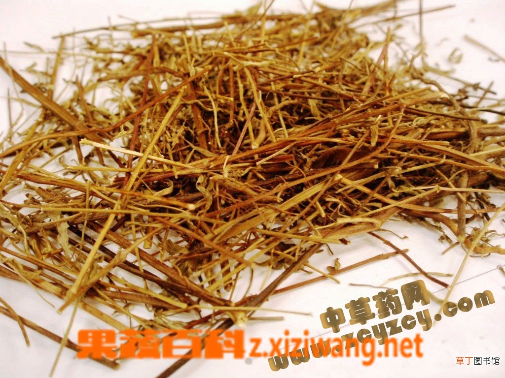 香薷的功效与作用