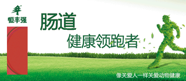 中国保健养猪网 我只想做一个安安静静的养猪人