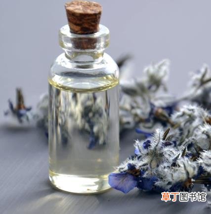 玫瑰果油的功效与作用