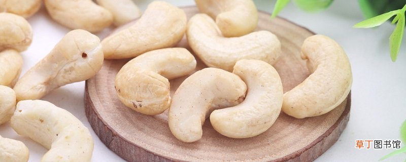 腰果怎么养