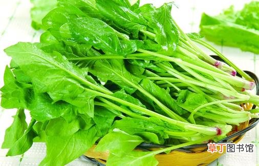 这十款食物 是不可多得的孕期补钙佳品