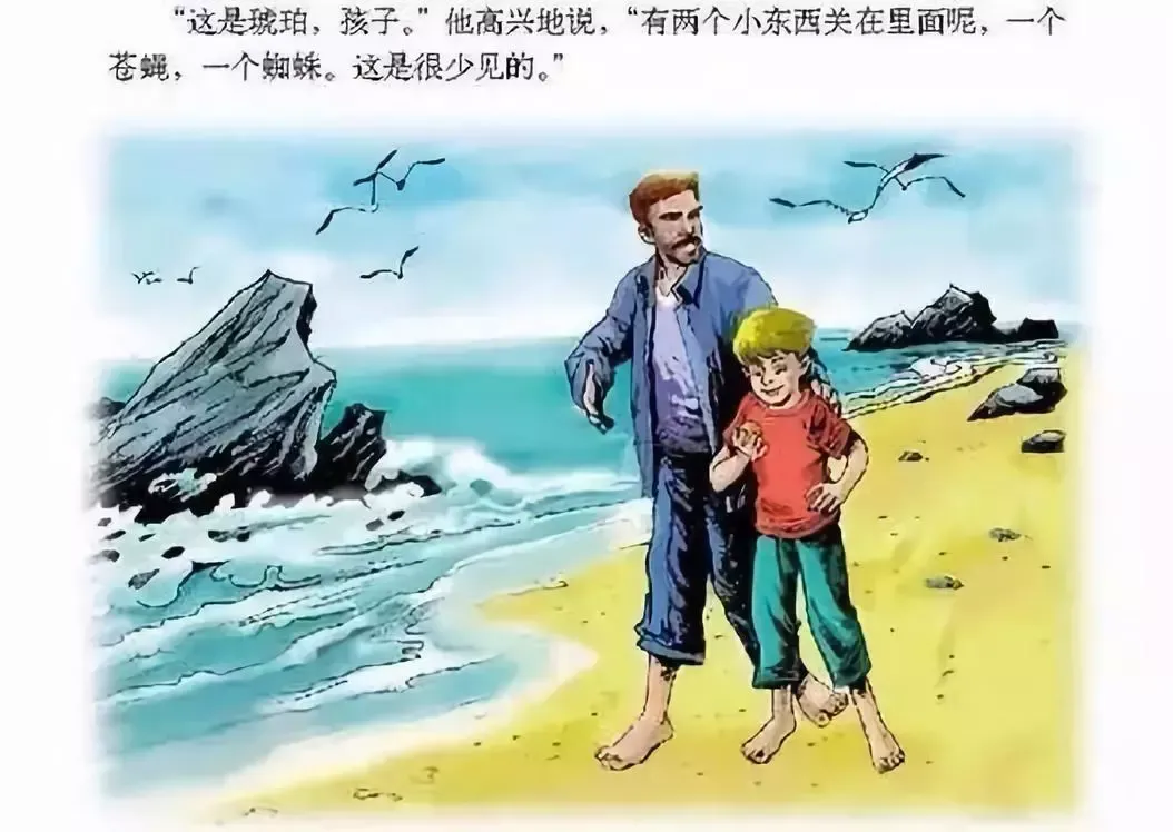 琥珀的形成过程 原来琥珀是这么形成的