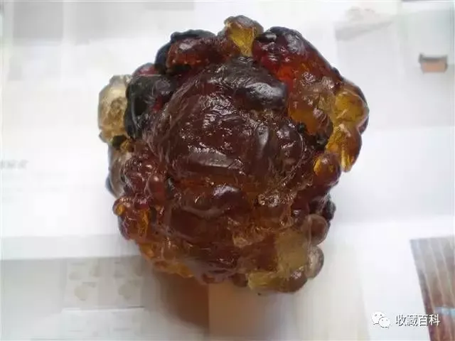 琥珀的形成过程 原来琥珀是这么形成的