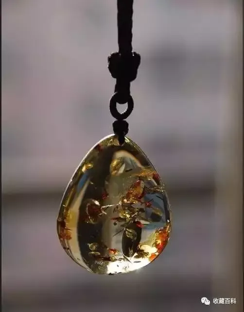 琥珀的形成过程 原来琥珀是这么形成的