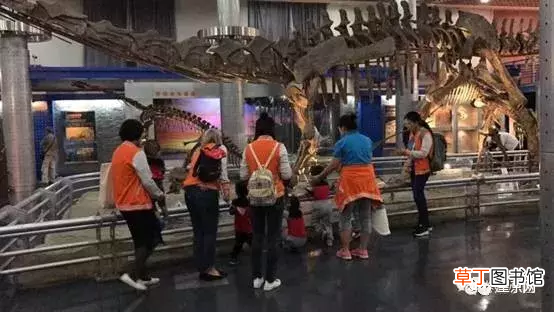 望京幼儿园 望京靠谱幼儿园推荐