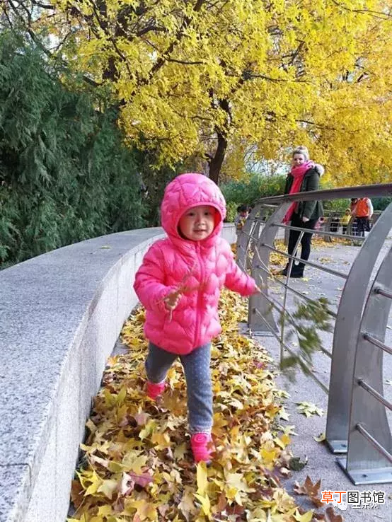 望京幼儿园 望京靠谱幼儿园推荐