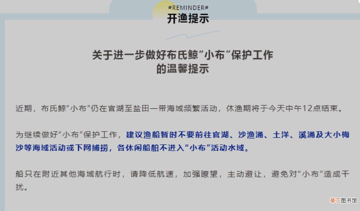 | 暖！开渔首日42艘渔船为“小布”让路 大鹏护“鲸”