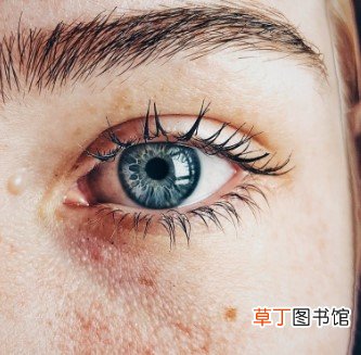 睫毛增长液怎么用
