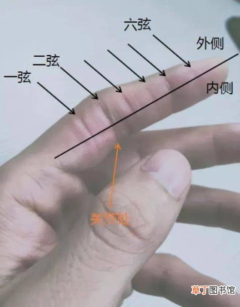 吉他多久手指能分开 爬格子多久