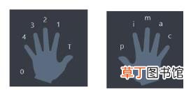 吉他多久手指能分开 爬格子多久