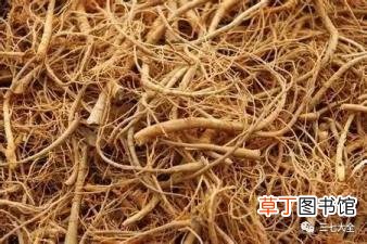 田七一般要连着吃几天 三七喝多久