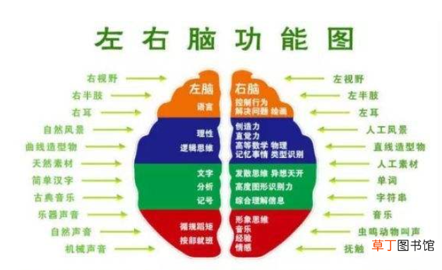 右脑记忆 3步学会右脑记忆法