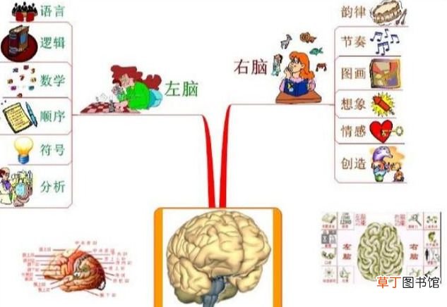 右脑记忆 3步学会右脑记忆法