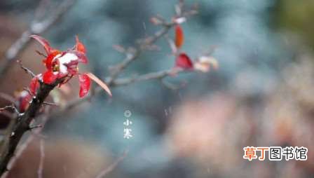 2022年小寒是三九第一天吗?2022年小寒是几九第几天?2022小寒进九了吗