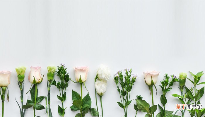 梦见花是什么意思