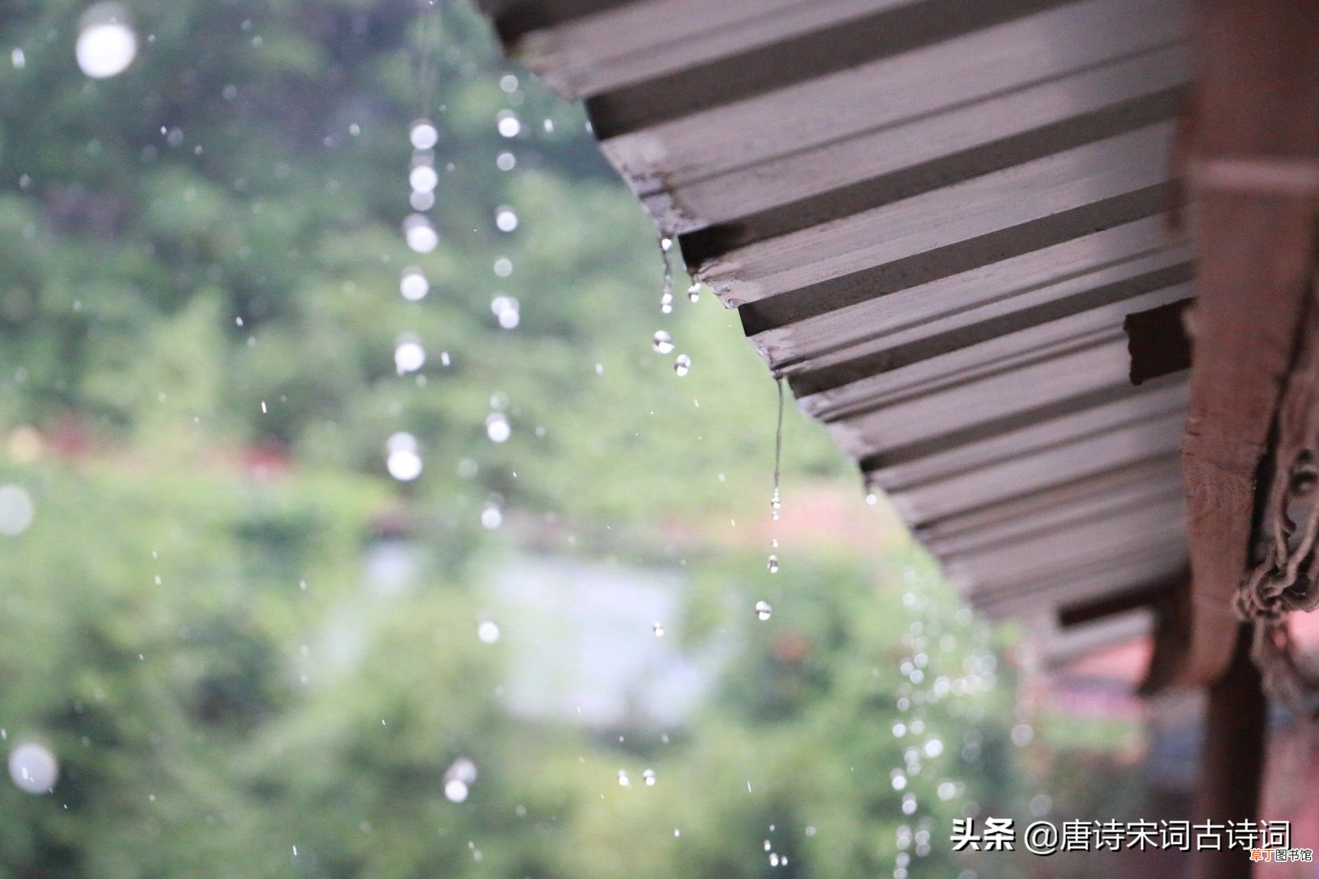 带雨的诗句 越读越有味的带“雨”古诗句