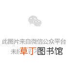 福建漳州11人海滩遇难！“凶手”或许是它