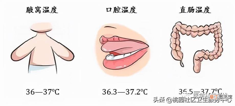 水银温度计消毒多久 水银量多久