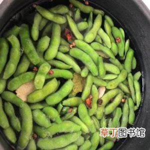 毛豆种子要浸泡吗 毛豆泡多久