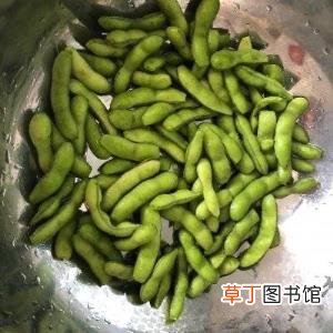 毛豆种子要浸泡吗 毛豆泡多久