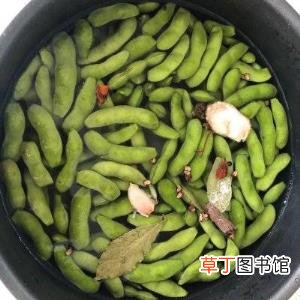 毛豆种子要浸泡吗 毛豆泡多久