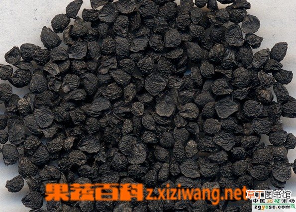 韭菜子的功效与作用
