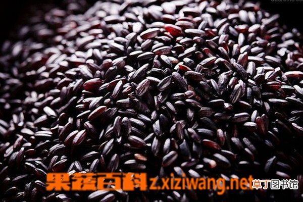 健康米的营养价值与功效