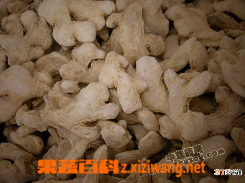 高良姜的功效与作用