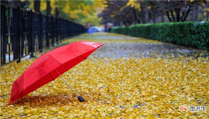梦见好几把收拢的雨伞