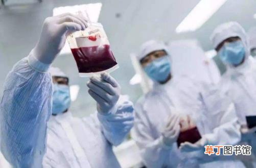 脐带血是否真的有用 准妈妈储存脐带血可以预防疾病