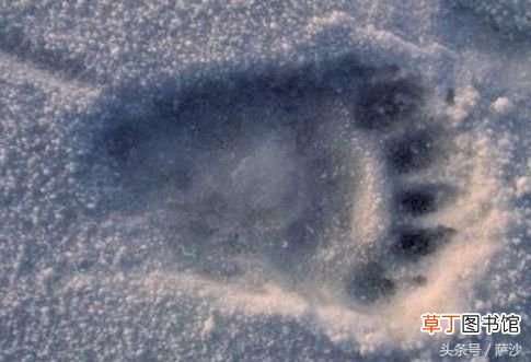 喜马拉雅山雪人 喜马拉雅山的怪物有了科学解释
