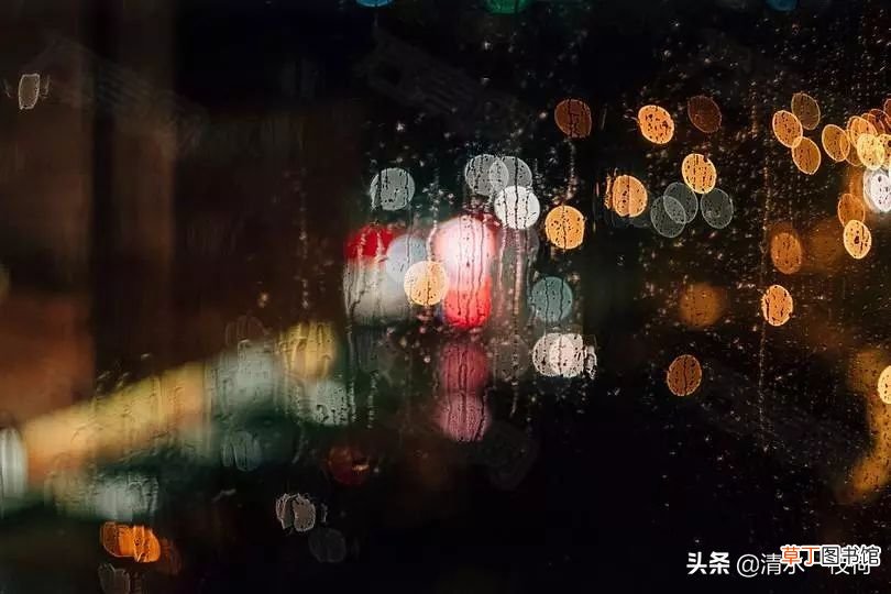 永远的蝴蝶 朗诵|《永远的蝴蝶》诵读：清荷