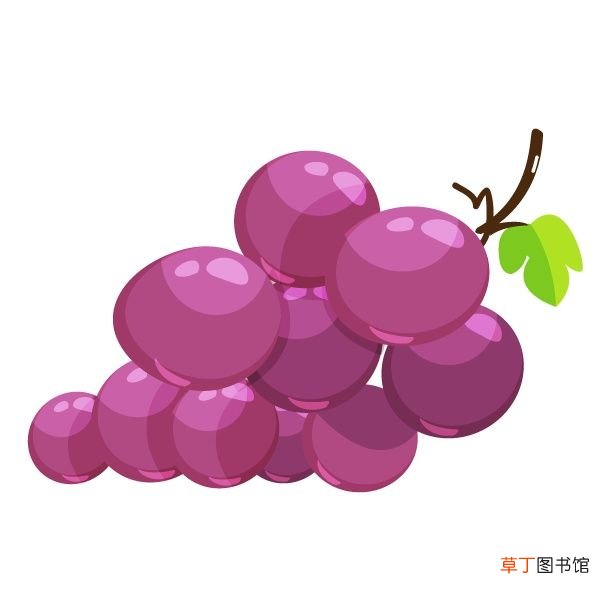 水果糖分 甜=含糖多？不甜=含糖少？