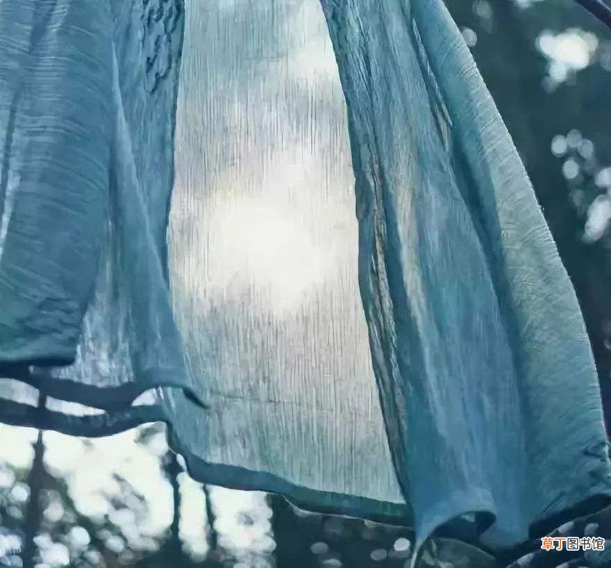 窗子以外 林徽因《窗子以外》品鉴