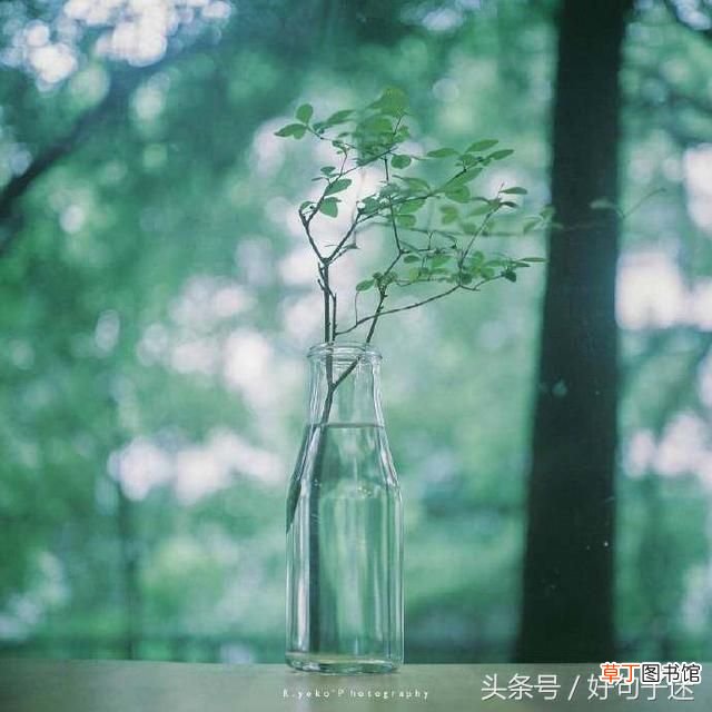 写给十年后的自己 致十年后的自己一段话，句句写进心坎里！