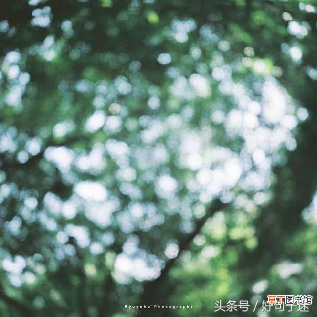 写给十年后的自己 致十年后的自己一段话，句句写进心坎里！