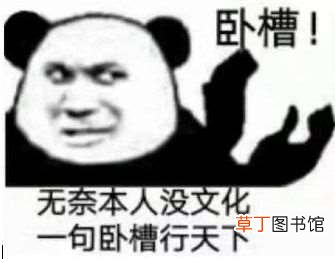 “wocao”是什么意思?老外或许比我们还懂