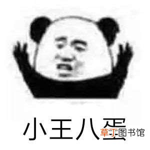 “wocao”是什么意思?老外或许比我们还懂