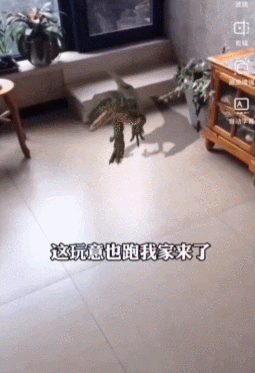 因为智商正常!他成了抖音第二大网红