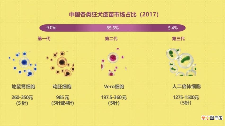 打狂犬疫苗5年后死了 狂犬病为什么治不好