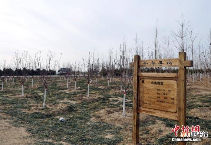 雄安新区规格很高 为什么雄安是千年大计