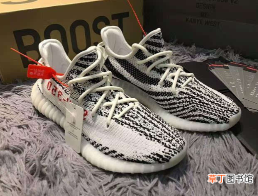 椰子鞋是哪个旗下的品牌