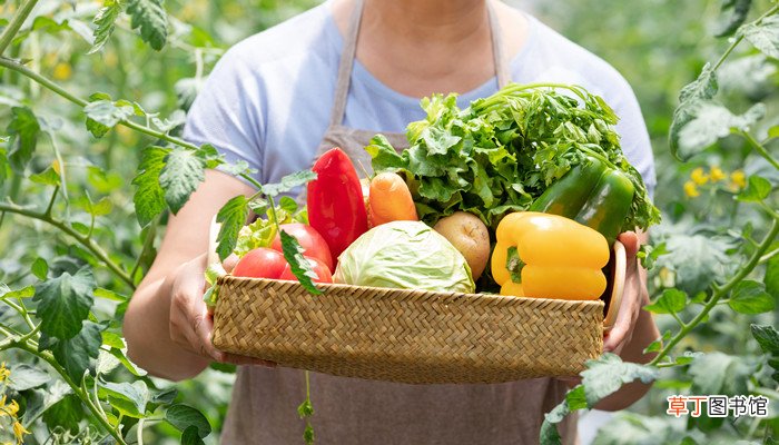 梦见大伯带我挖野菜