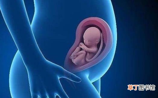 孕期关于胎儿头部的测量指标 胎儿头小的原因
