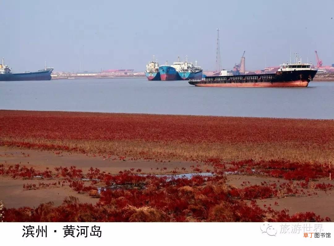 山东旅游景点 五一不宅家，山东33处好景任你玩